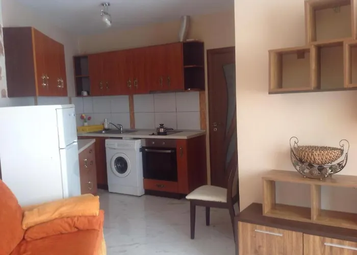 Vicente Золотые Пески